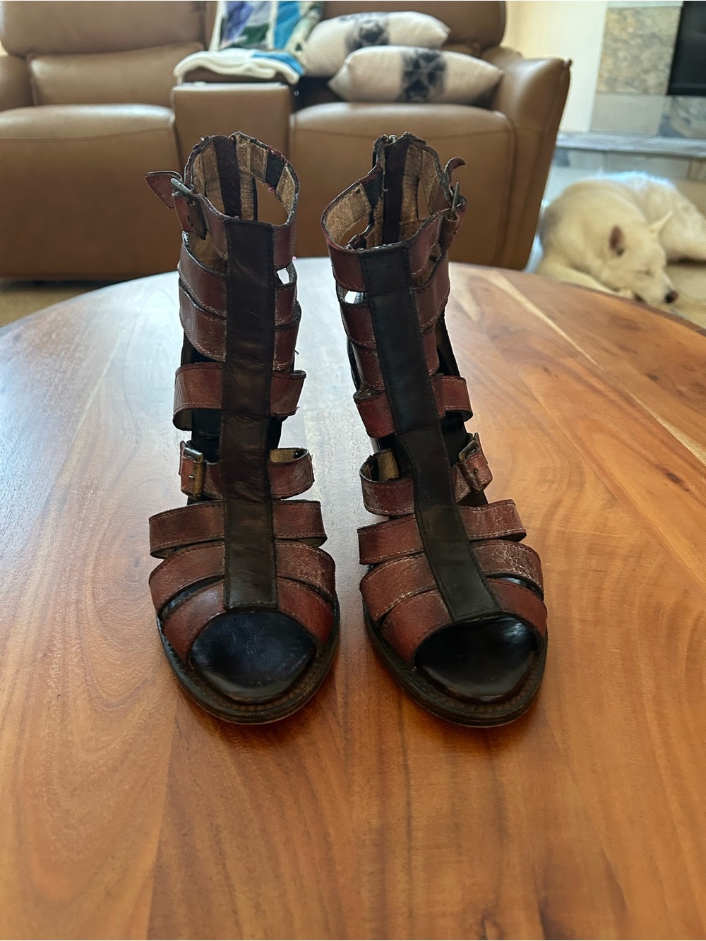 Freebird, Breez, Sz 10 Strappy Brown Leather Sandals